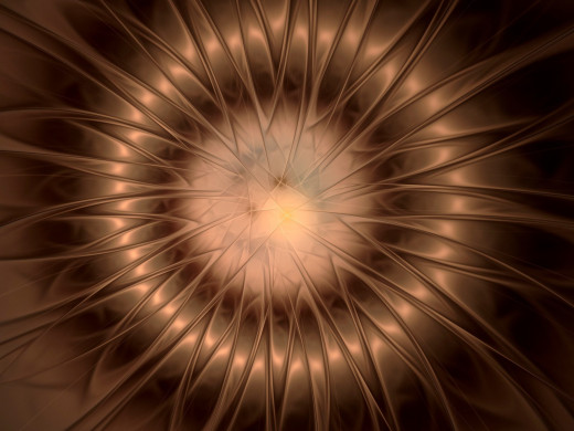 594502 (a): :1600x1200